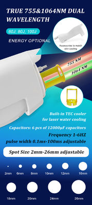 Pigment Lesions Removal Lasering 755 1064nm Alex Long Pulse Shorter Pulse Alexandrite Yag Lasering Hair Removal Machine