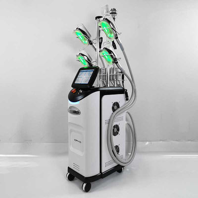 Μηχανή CE Cryolipolysis κοιλιών, παχιά μηχανή αδυνατίσματος παγώματος Cryolipolysis